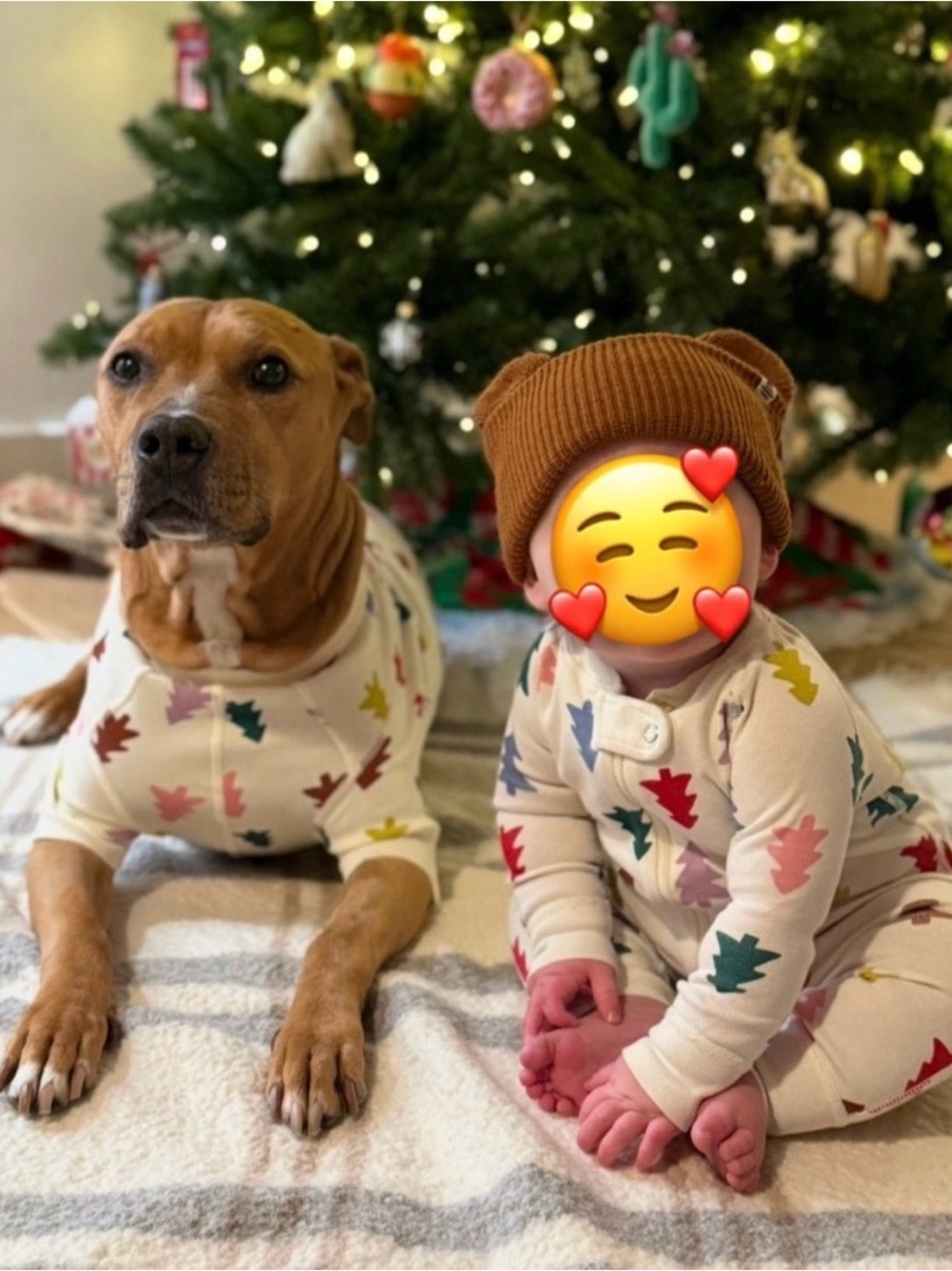 Hanna Andersson Dog Christmas Shirt - Family Matching Pajamas